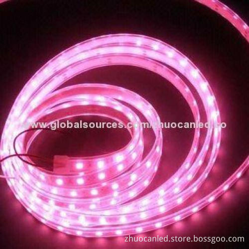 5m 60LED/m 5050SMD Green Flexible Water-resistant 12V 300pcs LED Strip Light